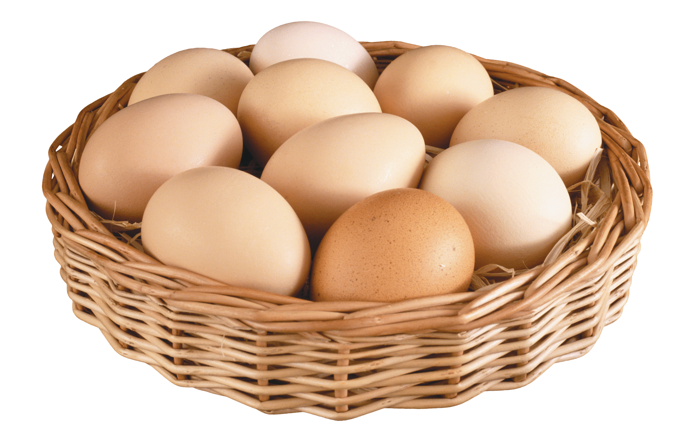 Egg Png Image Transparent HQ PNG Download | FreePNGImg