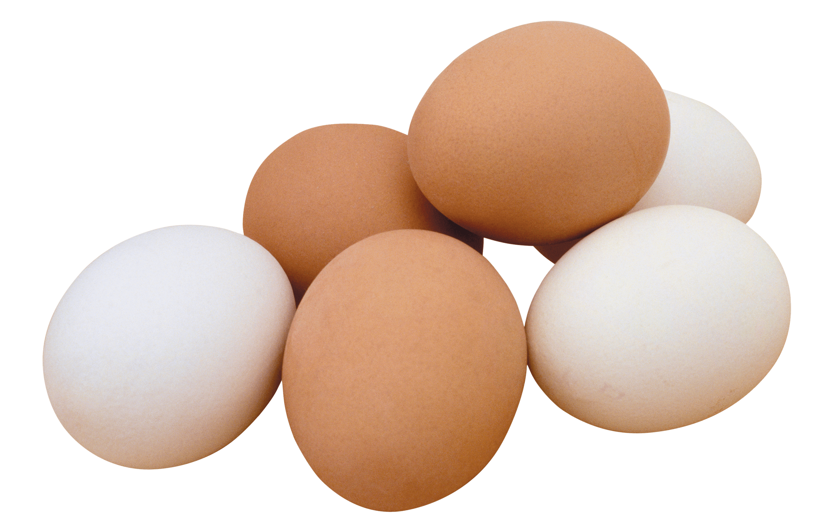 Eggs PNGs for Free Download