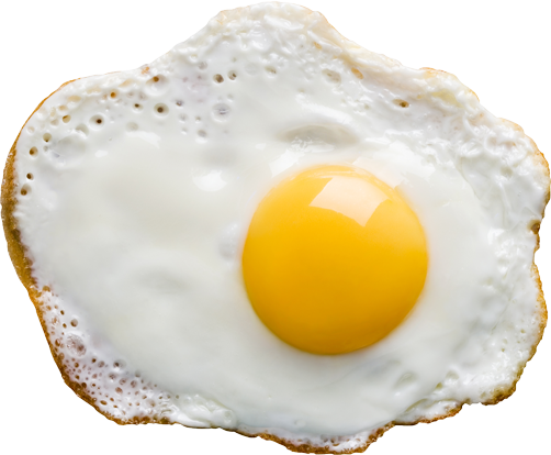 Fried Egg PNG Download Free PNG Image