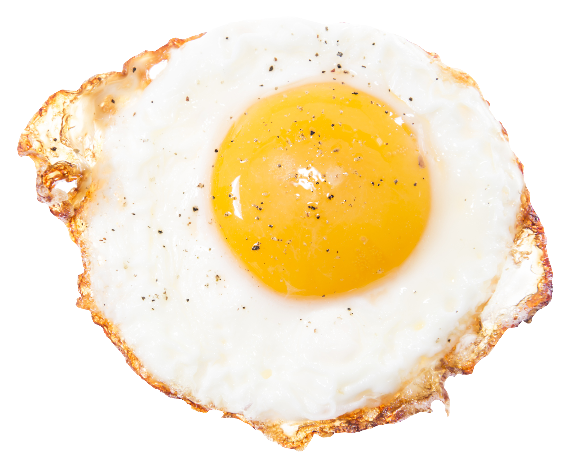 egg png download - 4096*4096 - Free Transparent Fried Egg png