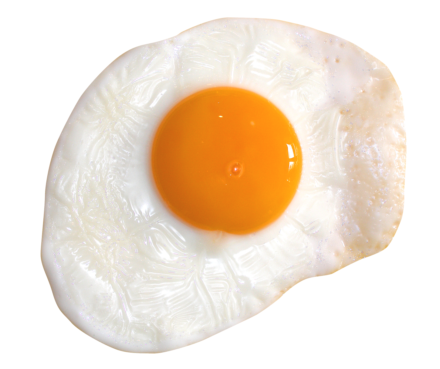 Fried Egg transparent PNG - StickPNG