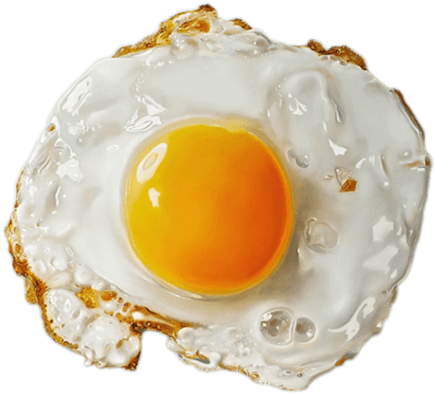 PNG Fried egg food white