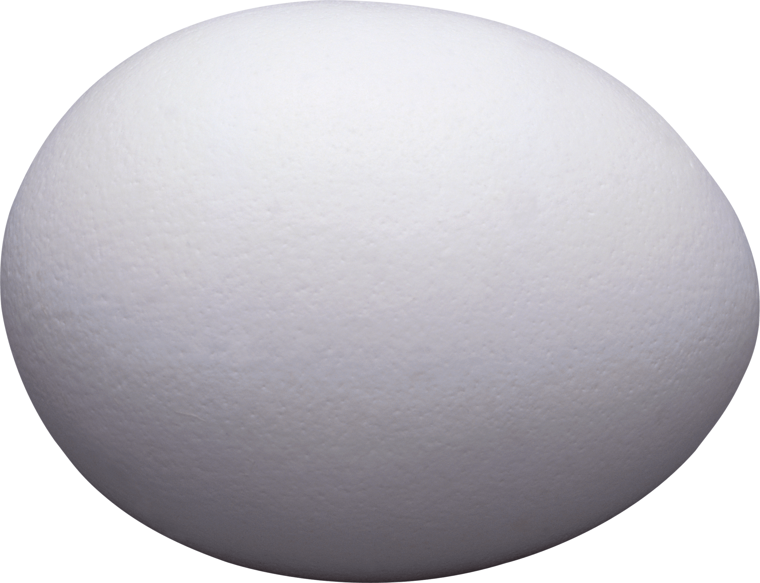 Egg png. Яйцо белое. Яйцо без фона. Яйцо для фотошопа. Яйцо на прозрачном фоне.