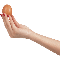 Egg In Hand Png Image PNG Image