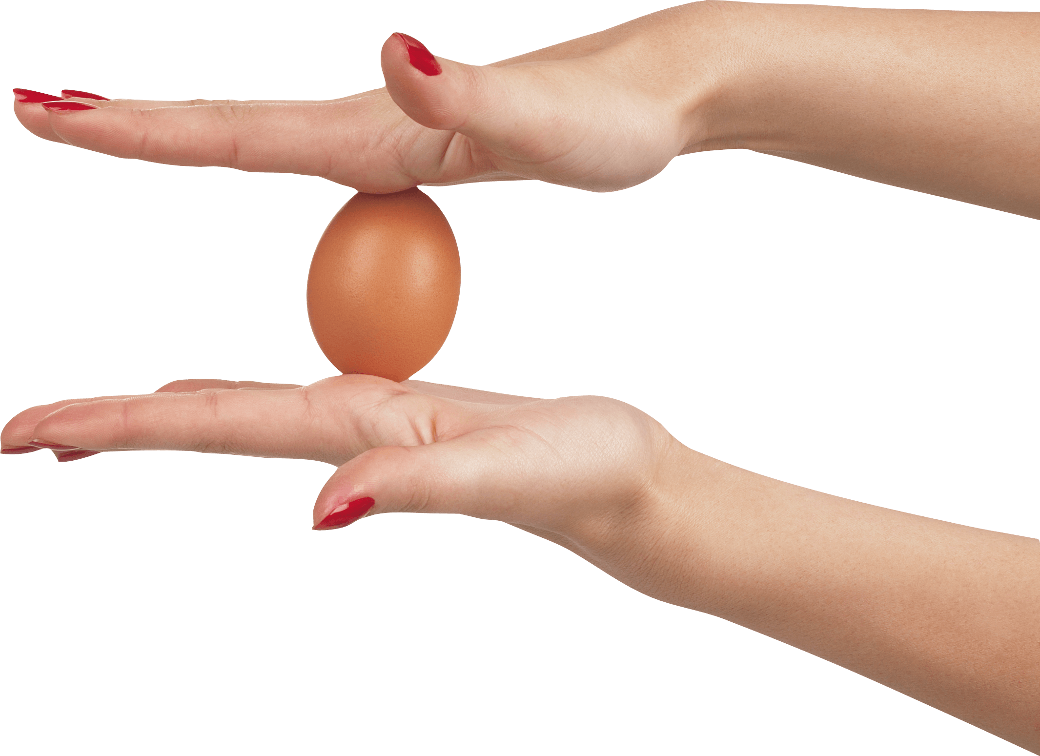 Egg In Hands Png Image PNG Image