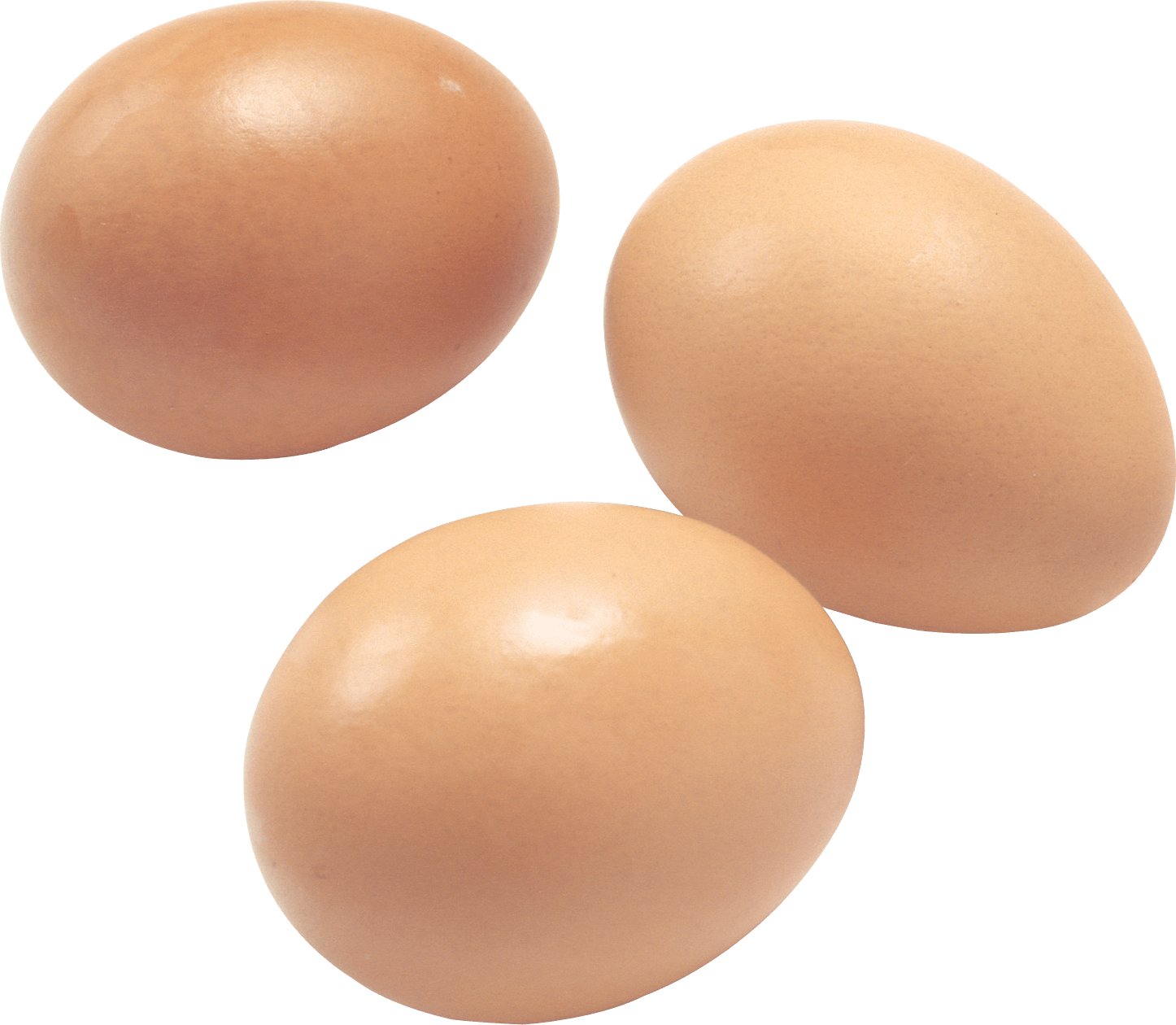 Egg PNGs for Free Download