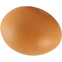 Download Egg Free PNG photo images and clipart | FreePNGImg