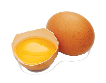 cracked egg png