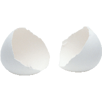 Cracked Egg Png Image PNG Image