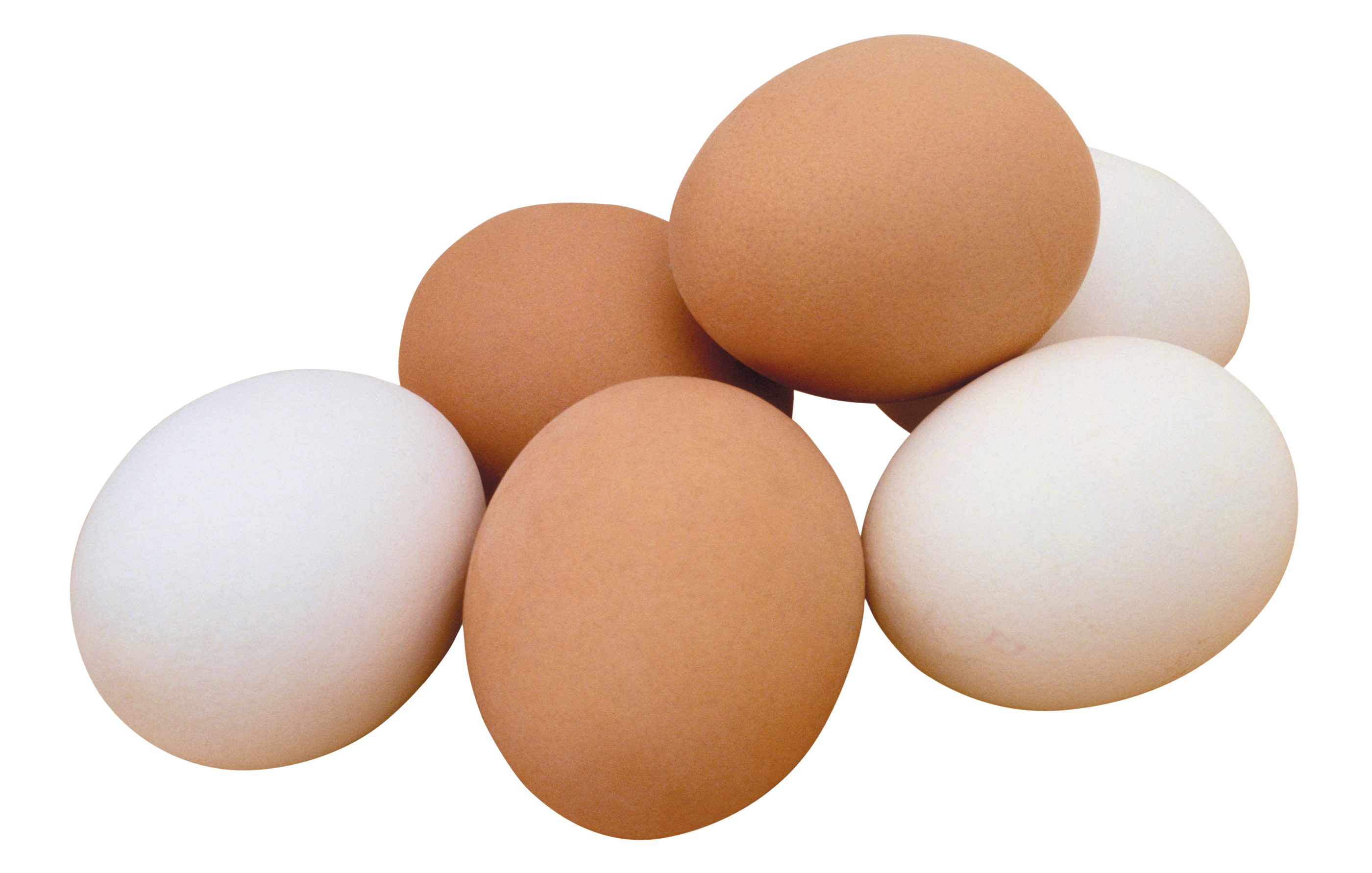 Free Two Fried Eggs Clip Art - Egg, png, transparent png