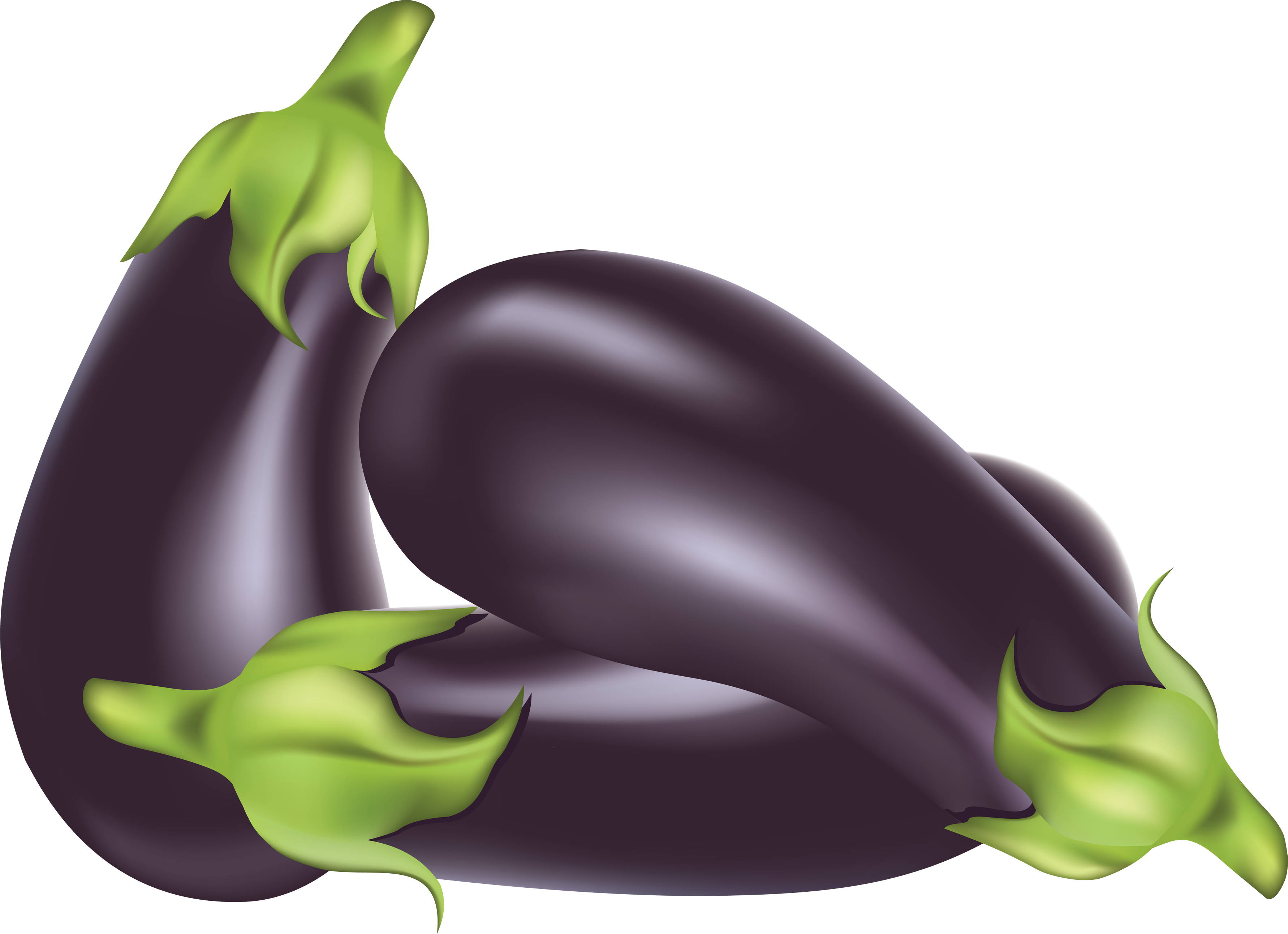 Brinjal Eggplant Bunch Free Clipart HD PNG Image