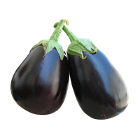 Brinjal Eggplant Bunch Free Clipart HQ Transparent PNG Image