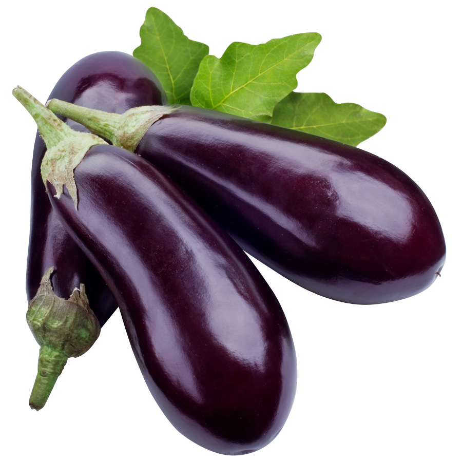 Brinjal Bunch Free Clipart HQ PNG Image