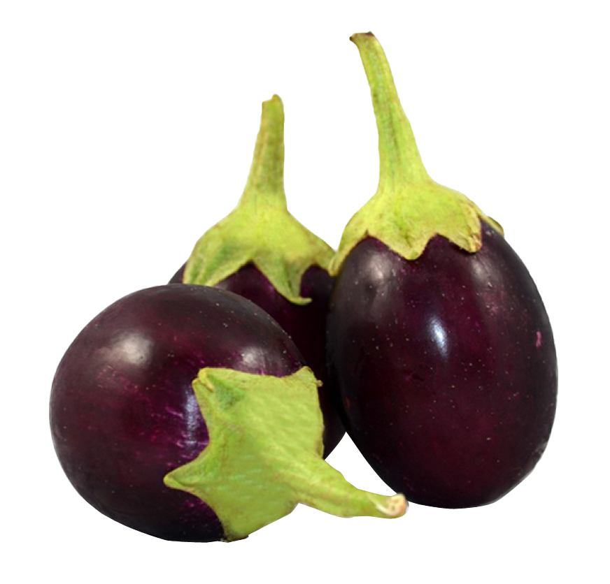 Brinjal Bunch Free Download PNG HQ PNG Image