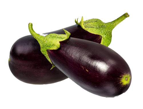 Picture Brinjal Eggplant Free Transparent Image HQ PNG Image