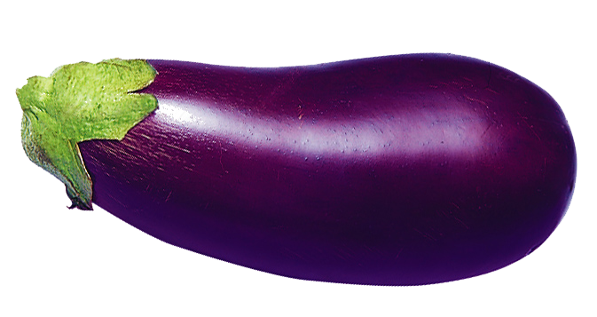 Brinjal Eggplant Free Clipart HQ PNG Image