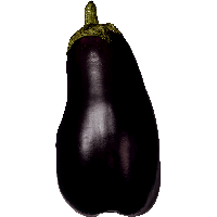 Eggplant Png Images Download PNG