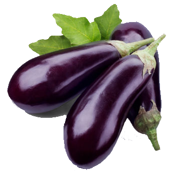 Eggplant Free Download Png PNG Image
