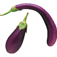 Eggplant Png Images Download