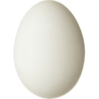 Egg Transparent PNG Image