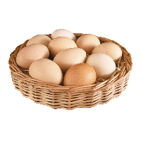 Egg Transparent PNG Image
