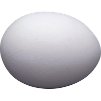 Egg Transparent PNG Image