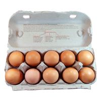 Eggs PNG