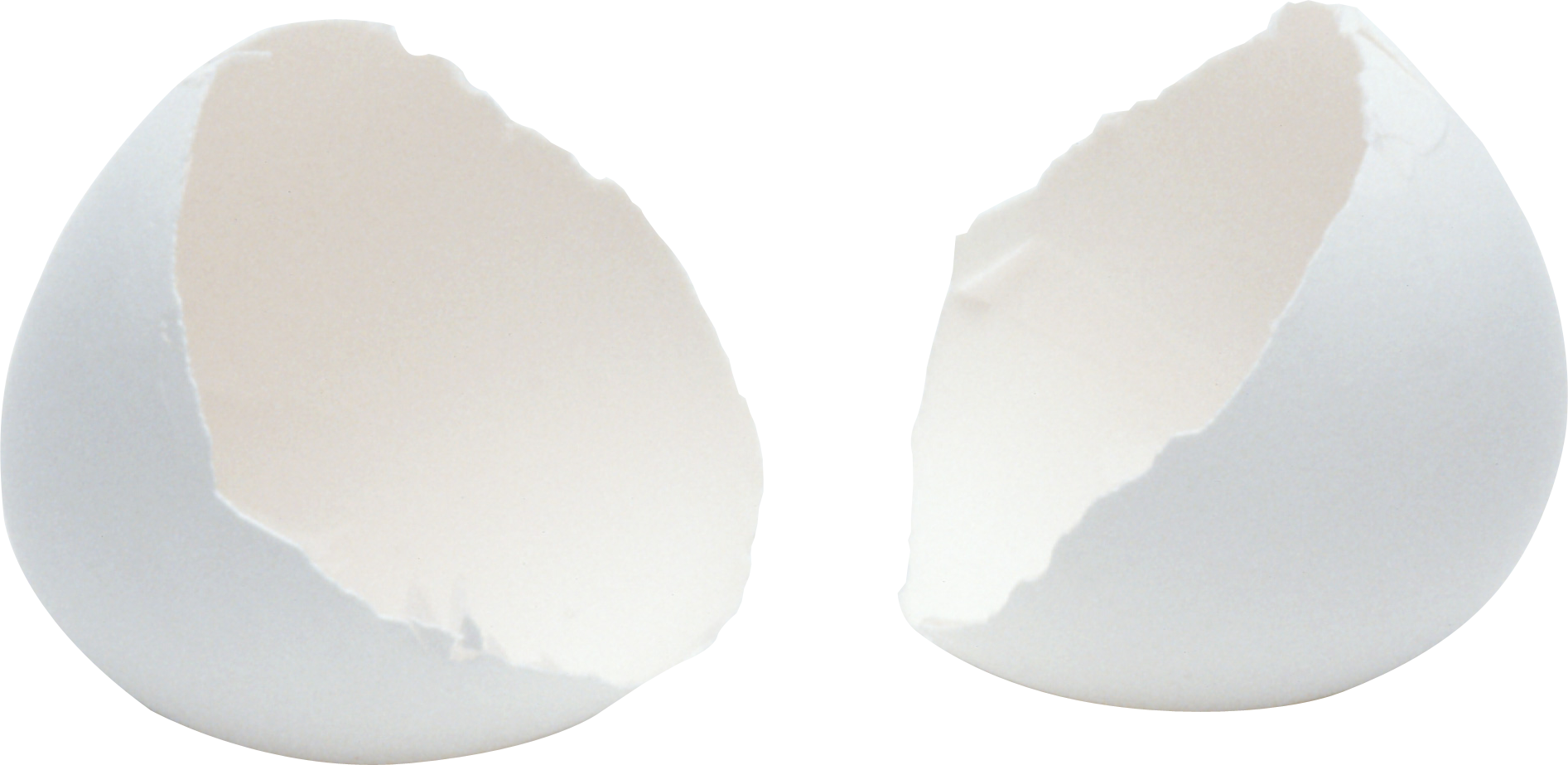 Cracked egg Transparent PNG Image