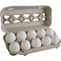 Egg PNG