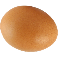 Egg PNG