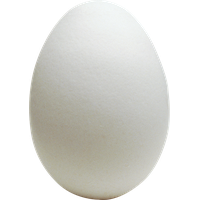 Egg PNG