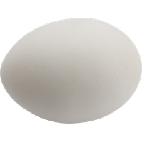 Egg PNG