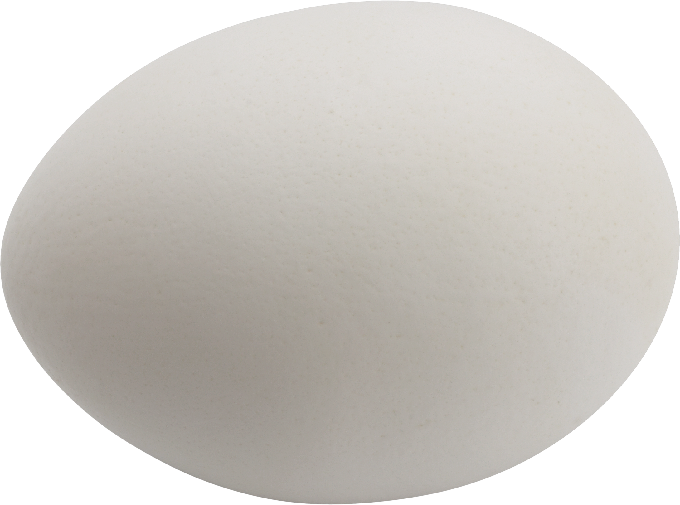 Egg Transparent PNG Image