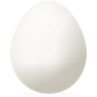 Egg PNG