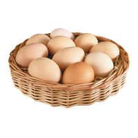 Egg PNG