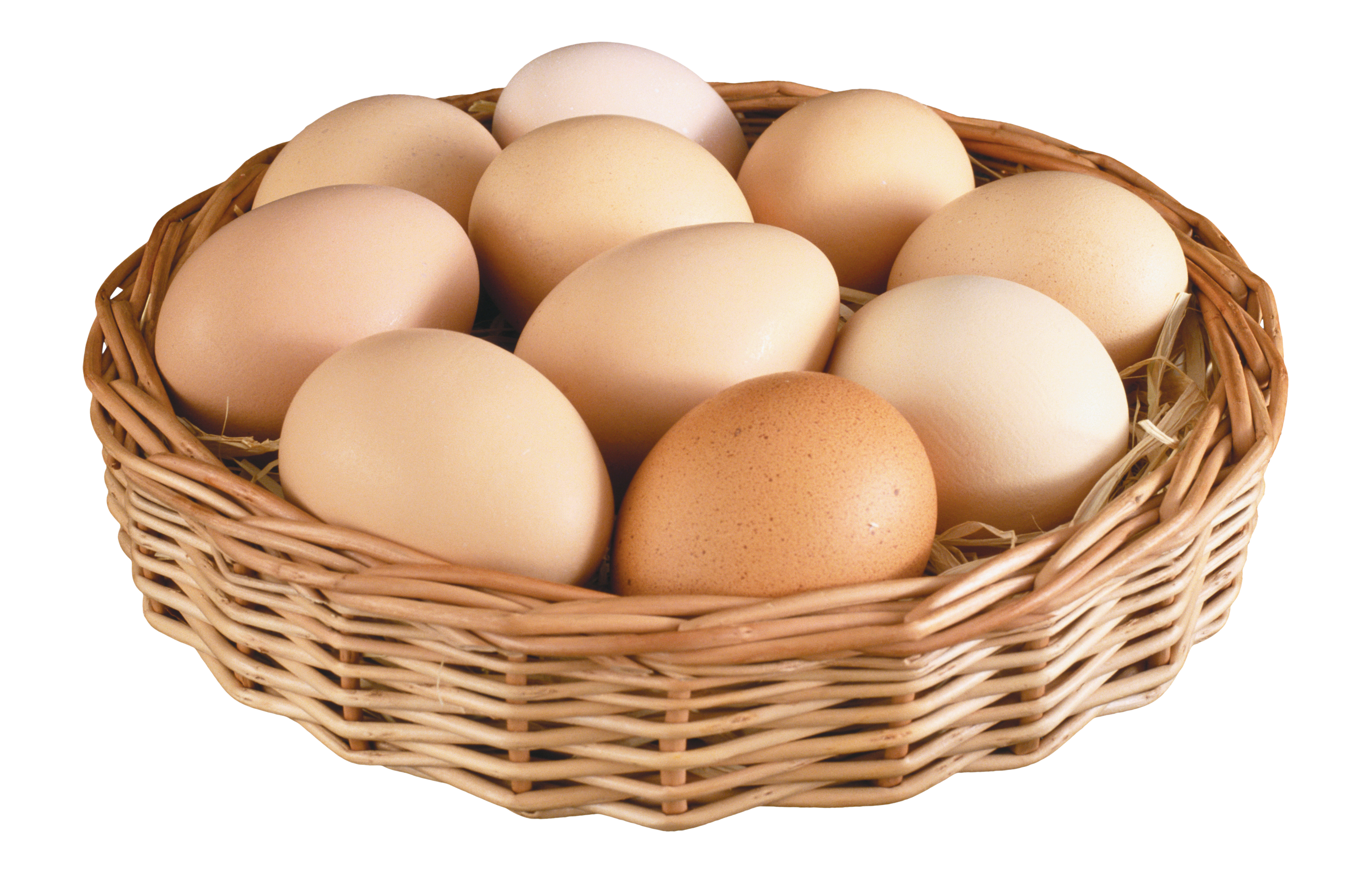 Egg Transparent PNG Image