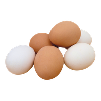 Egg PNG