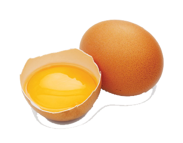 Cracked egg Transparent PNG Image
