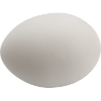 Eggs PNG