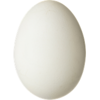 Eggs PNG