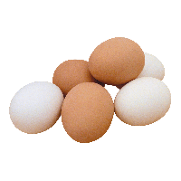 Eggs PNG