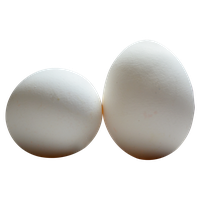 Eggs PNG