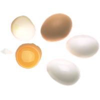 Eggs PNG