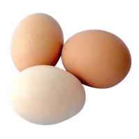 Eggs PNG