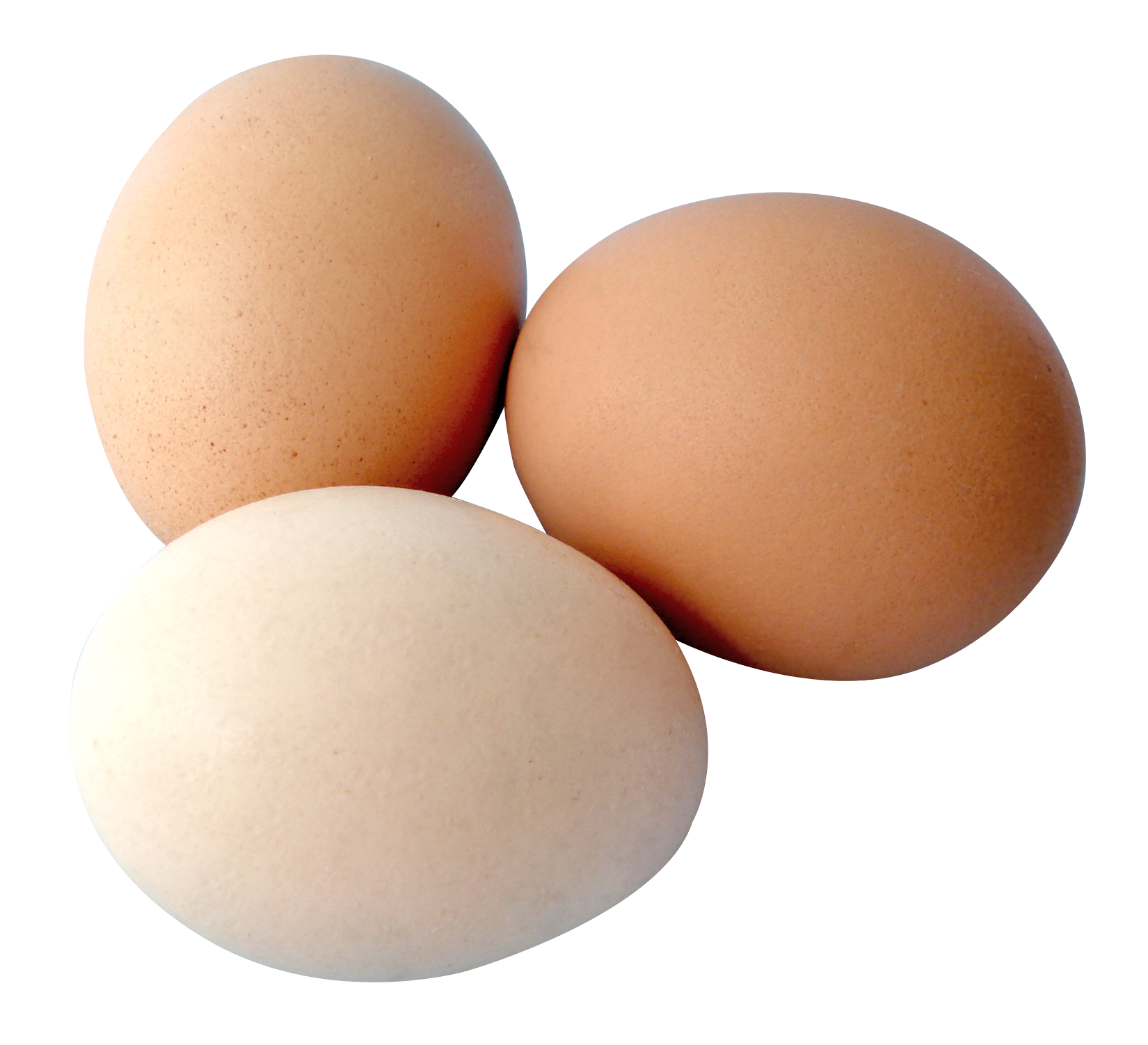 Eggs Transparent PNG Image