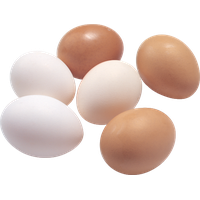 Eggs PNG