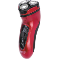Electric razor