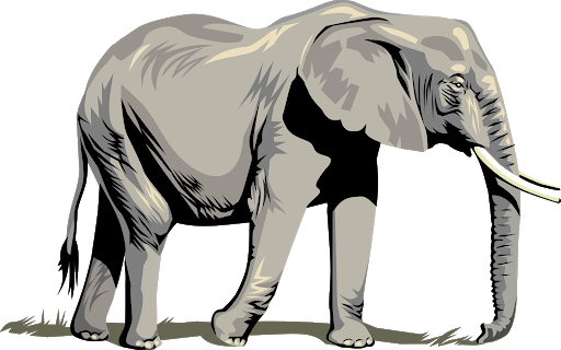 Picture Vector Elephant African HQ Image Free PNG Image