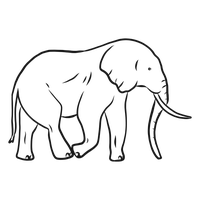 Picture Vector Elephant Free Transparent Image HD