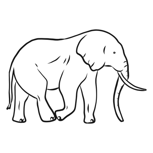 Picture Vector Elephant Free Transparent Image HD Transparent PNG Image